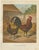 Foerster, The Golden Spangled Hamburg Chicken, Lithograph, 1888 For Sale