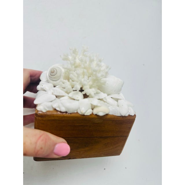 Vintage Box With Shells For Sale - Image 9 of 9