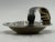 Los Castillo Taxco Silver Plate Malachite & Lapis Catchall Dish, Mexico 1960s For Sale - Image 12 of 18