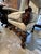 1900 - 1909 Early 20th Century Pair of William & Mary Style High Back Carved Chairs Newly Reupholstered For Sale - Image 5 of 6