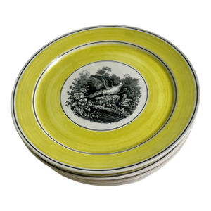 Late 20th Century Villeroy and Boch Yellow Rimmed Bird Plates, Pattern Is India- Set of 6