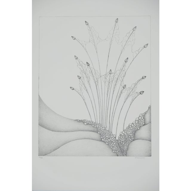 Gochka Charewicz Little Buds Original lithograph Signed in pencil Limited edition of 29 (the number pictured is provided...