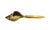 A vintage, brass letter opener. Features a solid, cast brass letter opener in the form of a conch shell. Unmarked. Circa...