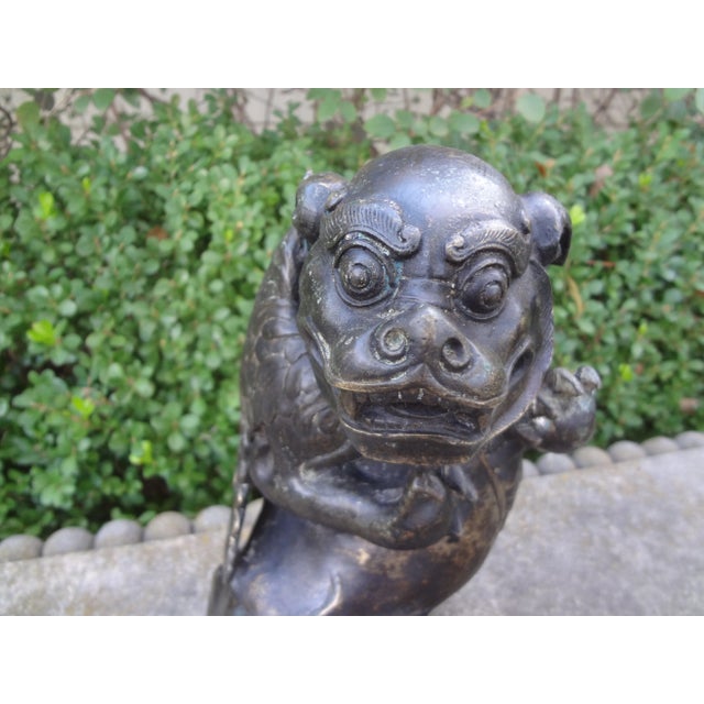 19th Century 19th Century Chinese Bronze Foo Dog With Wings For Sale - Image 5 of 11