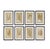 Farmhouse Framed Fern Prints - Set of 8 from Kenneth Ludwig Chicago For Sale - Image 3 of 3