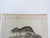 Mid 19th Century Mid 19th Century Us Pacifc Railroad Rats Lithograph Book Plate - A Pair For Sale - Image 5 of 6