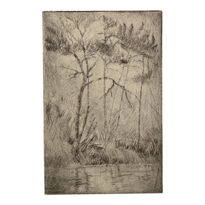 1997 David Baird Landscape Etching