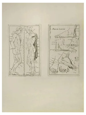 Nicholas Cochin, Anatomy Studies, Etching, 1755
