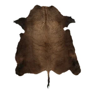 Rug & Kilim’s American Bison Hide Fur Rug in Chocolate Brown Tones