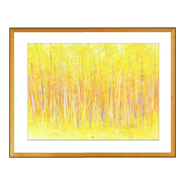 Late 20th Century Aspen Color, Ted Larsen For Sale