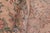 Textile Floral 1990's Pak-Persian Tan/Tan Wool Rug - 8'11'' X 11'11'' For Sale - Image 7 of 9