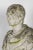 Bust of Julius Caesar, Early 20th Century, Cast Stone For Sale - Image 3 of 7