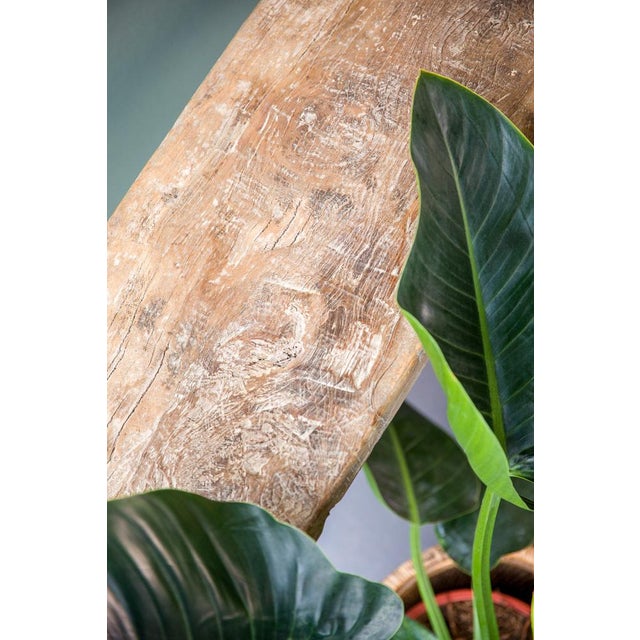 Rustic Chinese Elm Wood Sideboard, 1890s For Sale - Image 3 of 12