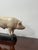 - An incredible pair of painted plaster model pigs by The Ministry Of Agriculture, European, Circa 1920. - The models have...
