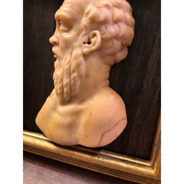 Early 19th Century Italian Grand Tour Siena Marble Relief Portrait of the Ancient Greek Philosopher Socrates For Sale - Image 11 of 12