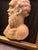 Early 19th Century Italian Grand Tour Siena Marble Relief Portrait of the Ancient Greek Philosopher Socrates For Sale - Image 11 of 12