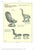 Rattan and Woven Cane Armchair, 1960s For Sale - Image 14 of 15