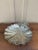 English 19th-Century English Regency Silver-Plate Clam Shell Serving Dish For Sale - Image 3 of 11