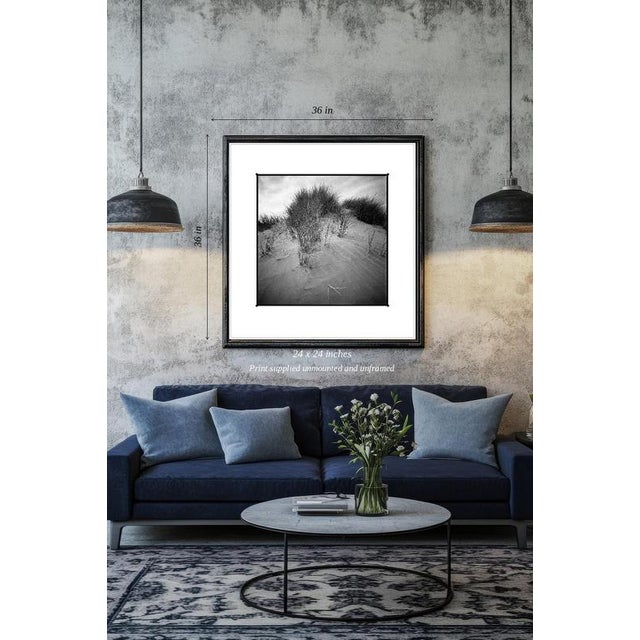 Fine art Giclee prints on Hahnemuhle Photo Rag 308gsm - a 100% cotton, acid-free, mould-made paper. Printed to Fine Art...