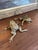 Mid 20th Century Pair of Vintage Brass Toned Crouching Frog Sculptures With Open Mouth and Textured Detailing.. For Sale - Image 5 of 10