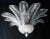 Italian 21st Century Italian Fern Murano Glass Flush Mount by Fabio LTD For Sale - Image 3 of 5