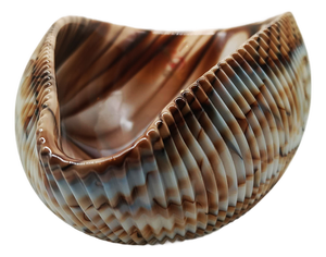 Vintage Italian Shell Ashtray in Murano Art Glass, 1960s