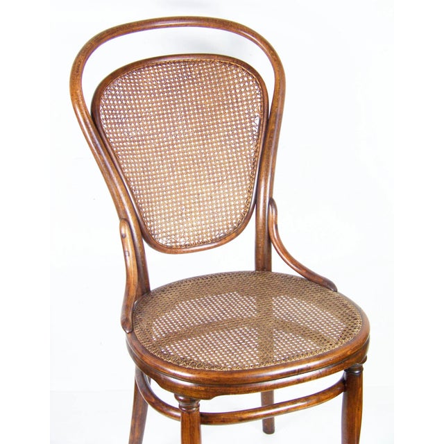 Nr.12 Chair from Thonet For Sale - Image 3 of 8