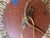Early 21st Century Gilt Iron Sunburst Ceiling Mount Light Fixture by Myanmar Home For Sale - Image 5 of 14