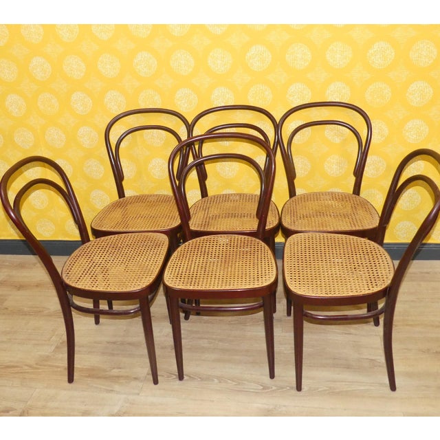 Set of 6 Classic Coffee House Chairs in a set of 6 Bentwood chair model 214, also known as the iconic coffee house chair...