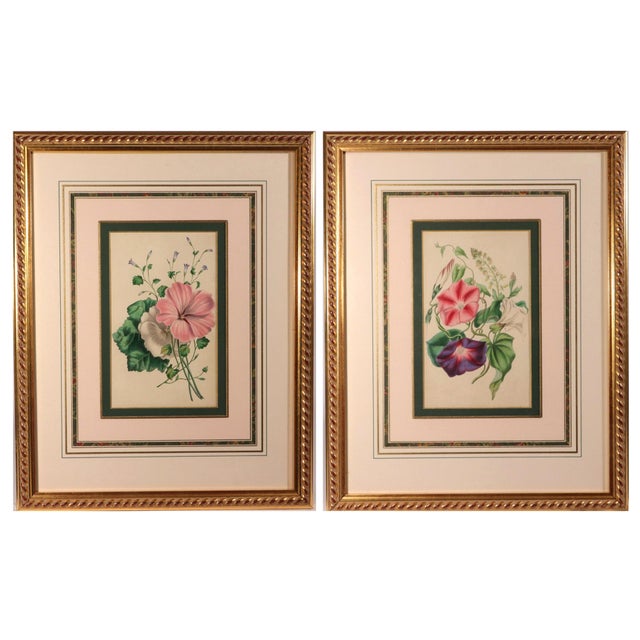 Pink Lessons From the Vegetable World: Robert Mackenzie Stark Botanical Prints 1858 For Sale - Image 8 of 13