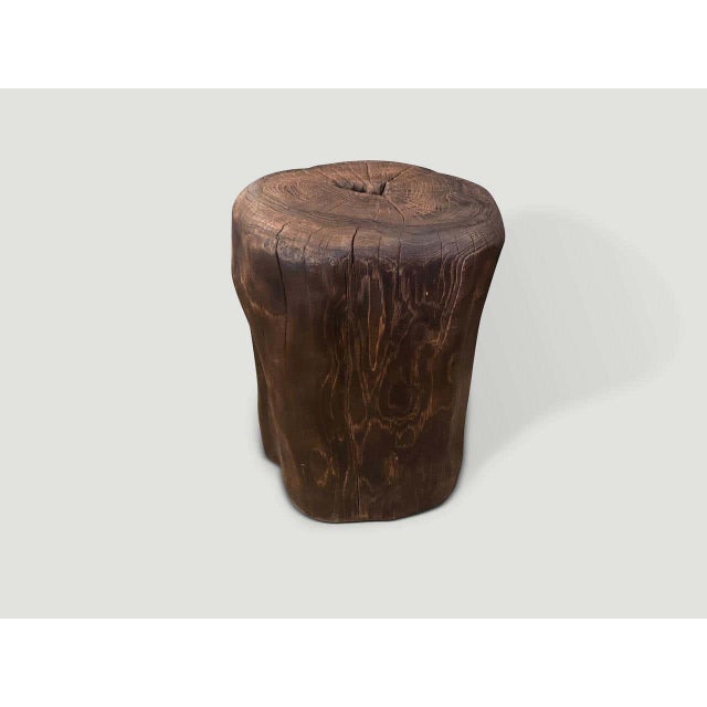 Andrianna Shamaris Modern Organic Charred Tall Side Table For Sale In New York - Image 6 of 6