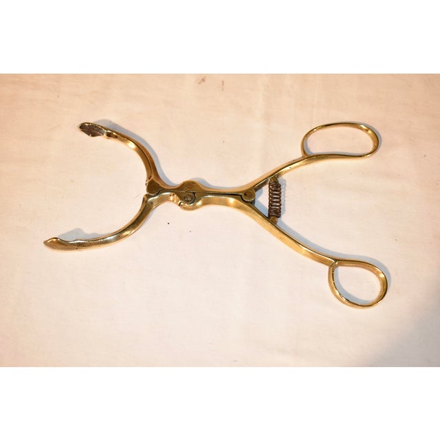 Pair of 19th Century English Brass Brazier Tongs For Sale - Image 4 of 9