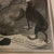 Illustration 19th Century Dog Engraving by Alfred Harral After Landseer Framed For Sale - Image 3 of 8
