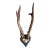 Roe Der Trophy 134 Black Forest Antlers on Heart Shaped Plaque For Sale