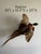 Brown Vintage 1973 Flying Ring-Necked Pheasant Taxidermy Wall Mount With Provenance Plaque For Sale - Image 8 of 9