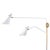 Add a modern statement with this unique pin up or installed lighting piece. Spyder's two adjustable arms are each unique...