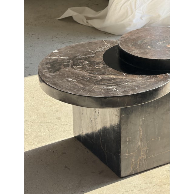 Coffee Table in Brown Petrified Wood with Double Circular Top on Cubic Base, Indonesia, 1980s For Sale - Image 10 of 16