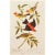 Louisiana and Scarlet Tanagers After Audubon, 1966 American Classical or Chinoiserie Print For Sale - Image 10 of 11