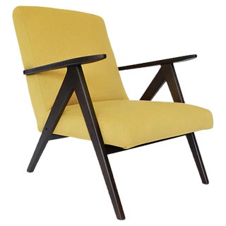 Vintage B-310 VAR Armchair by A. Dutka for Fabryki Mebli Gietych Radomsko, 1950s For Sale