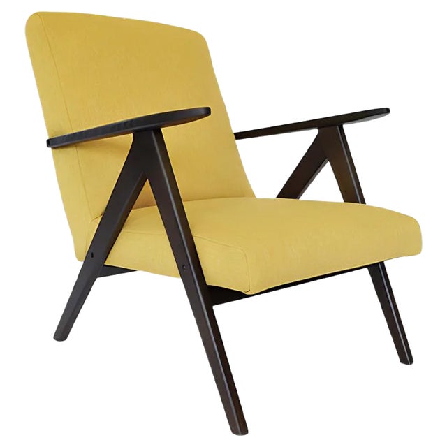Vintage B-310 VAR Armchair by A. Dutka for Fabryki Mebli Gietych Radomsko, 1950s For Sale