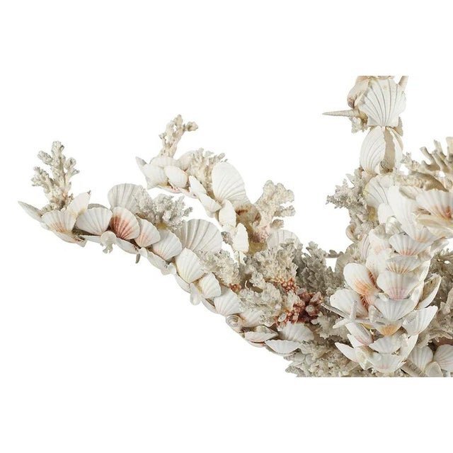 Coastal Vintage Italian "Grotto" Chandelier Encrusted With Sea Shells and Coral For Sale - Image 3 of 5
