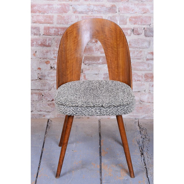 Mid-Century Modern Chairs in Walnut by Antonín Šuman, 1950s, Set of 4 For Sale - Image 10 of 12