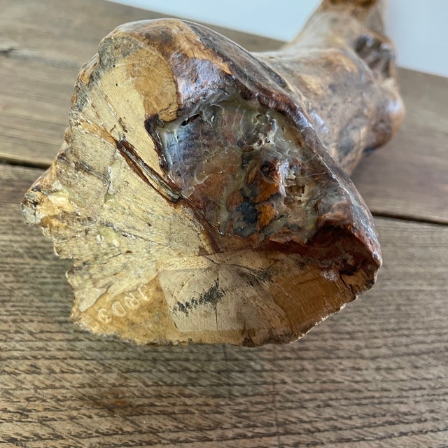 Folk Art Naïve Mary Sculpture in Carved Root Wood, 1800s For Sale - Image 9 of 10