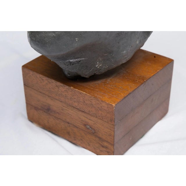 Mid 20th Century Lead Bust of a Gentleman For Sale In West Palm - Image 6 of 6