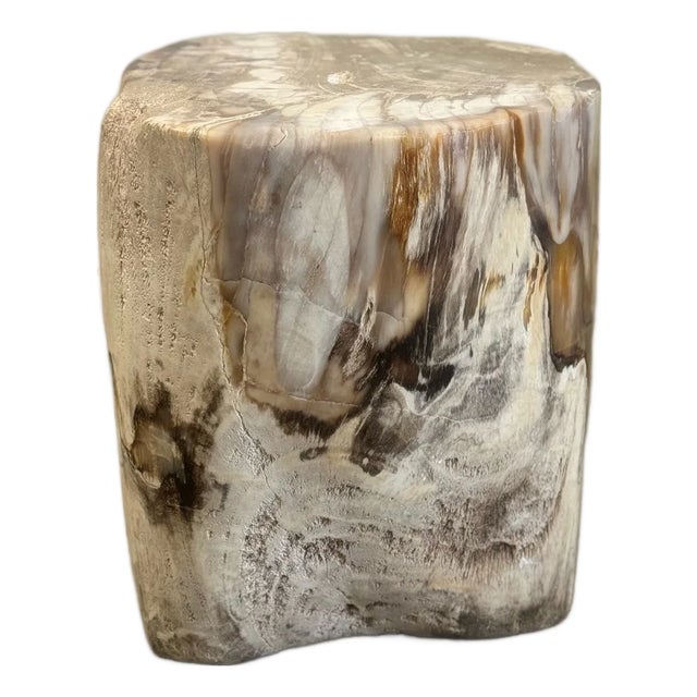 Petrified Stool - Single For Sale
