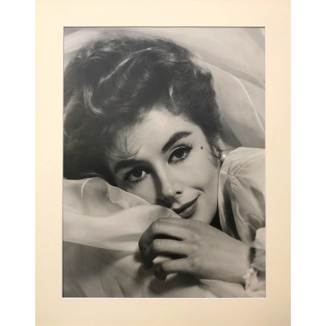 Original Vintage Hollywood Glamour Portrait of Kay Kendal by Virgil Apger c.1955. Presented matted and framed. Virgil...