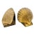Pair of Vintage PMC Brass Shell Bookends Mid Century Coastal Scallop VTG MCM For Sale