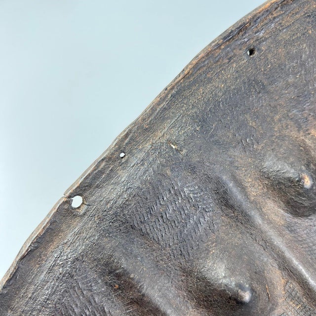 Animal Skin Early 20th Century Amarro Arussi Leather Shield Ethiopia MATTER COLLECTION For Sale - Image 7 of 11