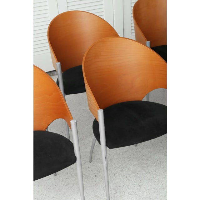 Late 20th Century Cattelan Italia Dining Chairs- Set of 6 For Sale In Jacksonville, FL - Image 6 of 12