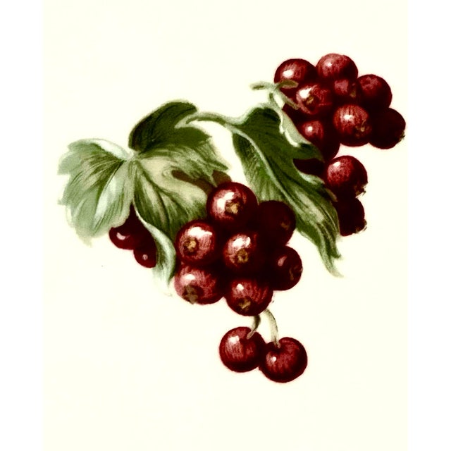 French Vintage Large Porcelain Serving Platter Designed by Patrick Frey for Philippe Deshoulières, Part of a Collection Made in Limoges, France. For Sale - Image 3 of 4